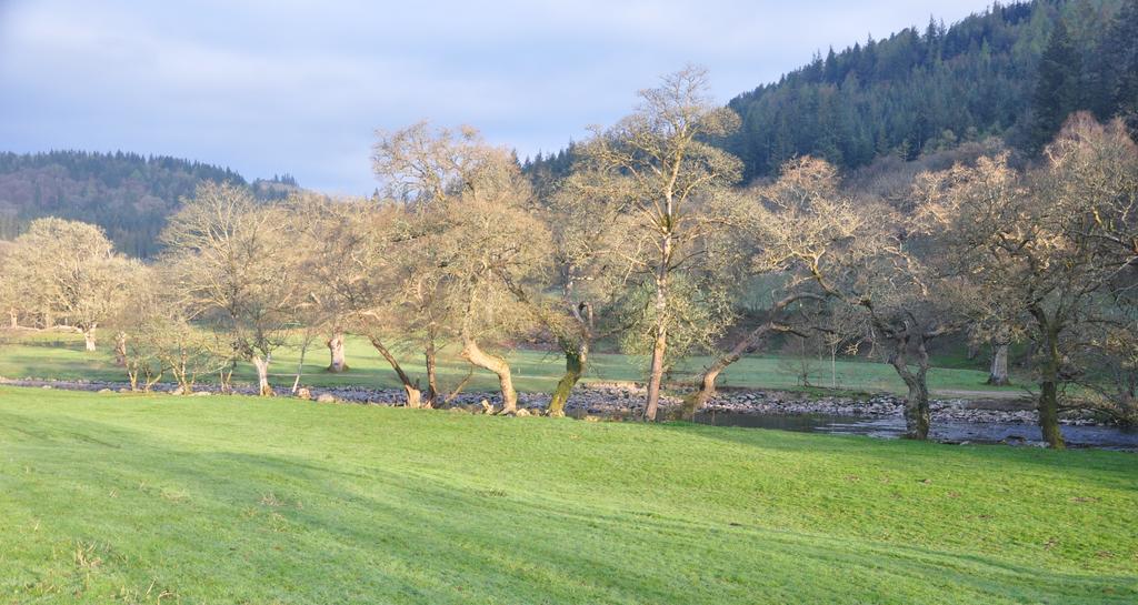 Dragon Bed And Breakfast Betws-y-Coed Exterior foto