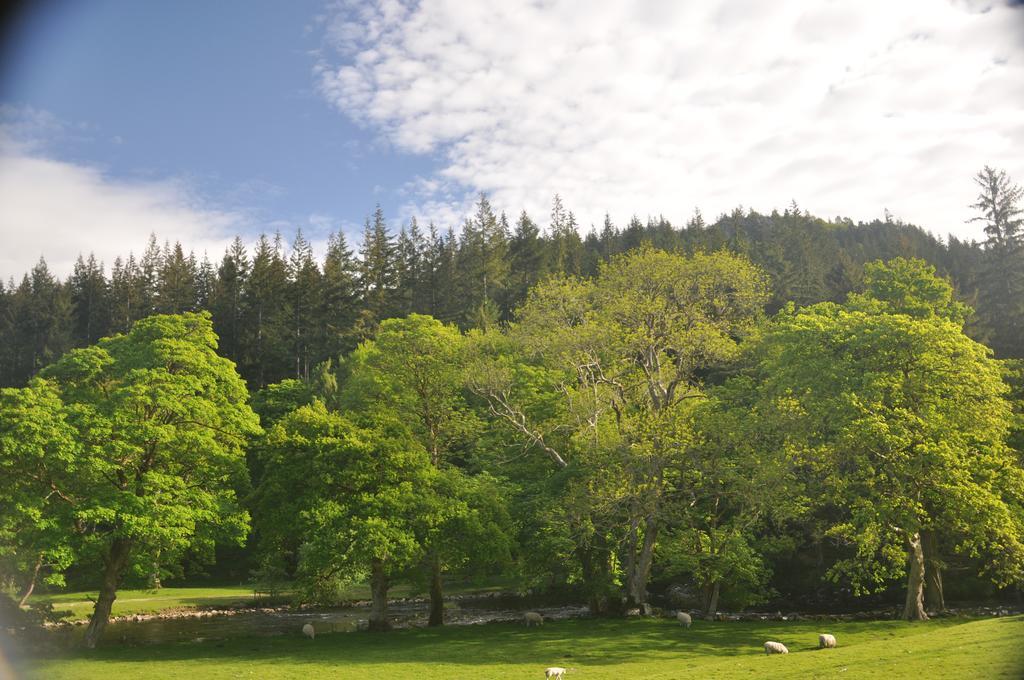 Dragon Bed And Breakfast Betws-y-Coed Exterior foto