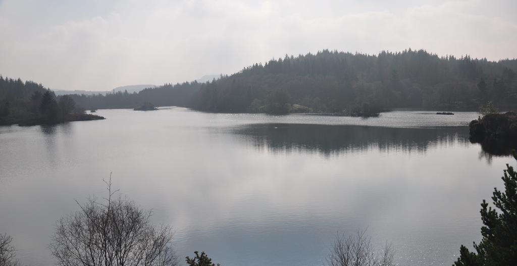 Dragon Bed And Breakfast Betws-y-Coed Exterior foto